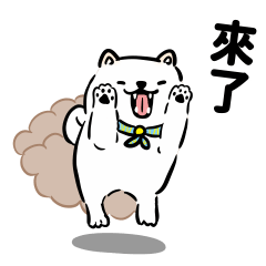 [LINEスタンプ] しばまるまる － にちじょうしろしば