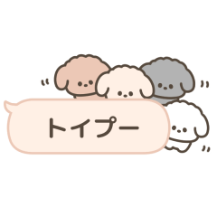 [LINEスタンプ] 吹き出しで遊んでるトイプードル