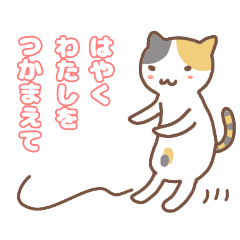 [LINEスタンプ] ねこねこの住み家5