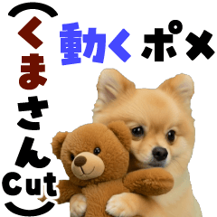 [LINEスタンプ] 動く！ポメラニアン2【クマさんカット】