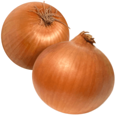 [LINEスタンプ] 国産玉ねぎ【文字なし】