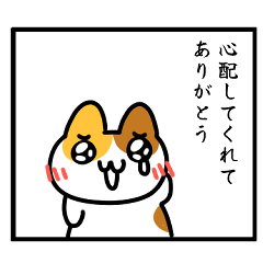 [LINEスタンプ] 気遣いしたりされたり猫