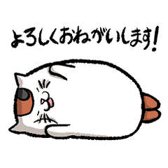 [LINEスタンプ] もっちりかわいい猫のスタンプ