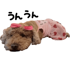 [LINEスタンプ] ぷーじーかわいいね