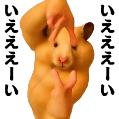 [LINEスタンプ] 踊る！横揺れ界隈キンクマハムスター