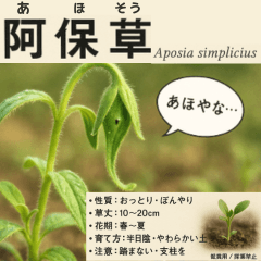 [LINEスタンプ] ⚫架空の草図鑑で日常会話（ダジャレ/ウケる