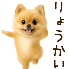 [LINEスタンプ] 踊る！ポメラニアン