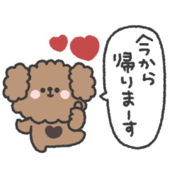 [LINEスタンプ] トイプードルさん◎家族恋人連絡 #1