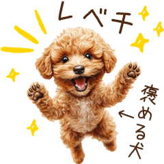 [LINEスタンプ] ほめて癒すトイプードル♡