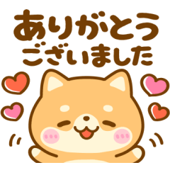 [LINEスタンプ] 会話の最初に♪豆柴日和