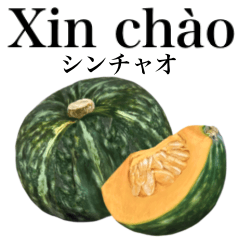 [LINEスタンプ] 国産かぼちゃ 【ベトナム語】