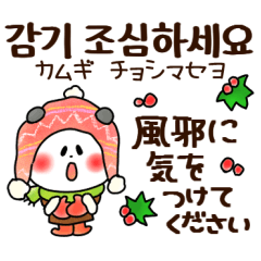[LINEスタンプ] ゆるパンダ 冬の韓国語