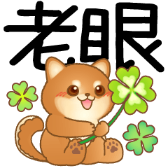 [LINEスタンプ] 老眼でもくっきりみえる！豆柴のBIGスタンプ