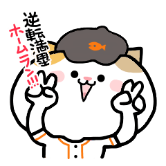 [LINEスタンプ] ねこねこ便り13 -野球編-