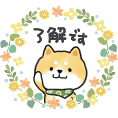 [LINEスタンプ] ずっと使える＊しばいぬサン＊優しい日常＊