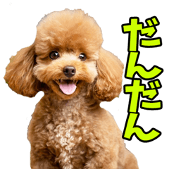 [LINEスタンプ] 愛媛伊予弁☆わんこ