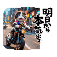 [LINEスタンプ] 【動く】バイクが好き❤️ねこ 2