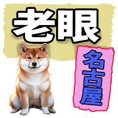 [LINEスタンプ] 老眼でも見える【名古屋弁】柴犬