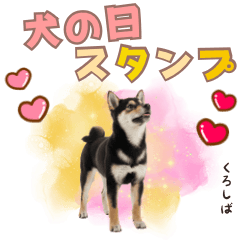 [LINEスタンプ] くろしば子犬の毎日スタンプ【犬の日】