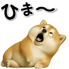 [LINEスタンプ] ちょっぴり笑える柴犬