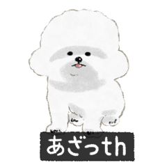 [LINEスタンプ] ビションでth（ビションフリーゼです）