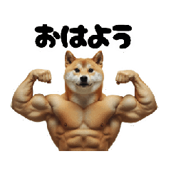 [LINEスタンプ] 動く犬マッチョ☆