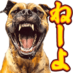 [LINEスタンプ] 細かい事にガチギレ犬2