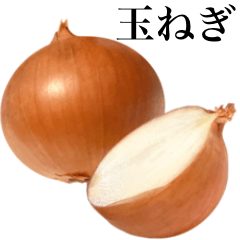 [LINEスタンプ] 【敬語】 国産玉ねぎ