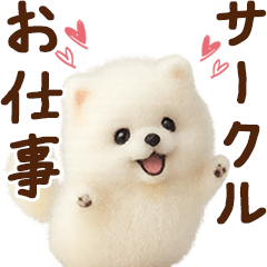 [LINEスタンプ] ずーっと一緒♡羊毛ポメのお仕事連絡