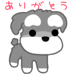 [LINEスタンプ] かわいいシュナ犬なんとなく動く3