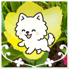 [LINEスタンプ] 飛び出すポメラニアン！大人やさしい野の花