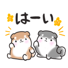 [LINEスタンプ] たれ耳柴犬♡お返事・挨拶スタンプ