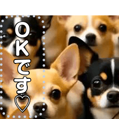 [LINEスタンプ] 無限チワワ