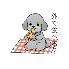 [LINEスタンプ] ？疑問形？のトイプードル