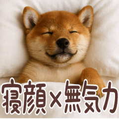 [LINEスタンプ] ぐでぐでわんこ