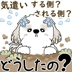 [LINEスタンプ] シーズー犬「気遣いする側？されたい側？」