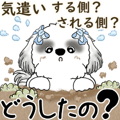 [LINEスタンプ] B＆Wシーズー「気遣いする側？される側？」