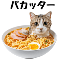 [LINEスタンプ] 癒しのニャンズのコミュ会話