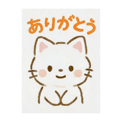[LINEスタンプ] 子猫のきもち