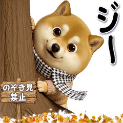 [LINEスタンプ] コミカルに動く柴犬（秋→冬 編）