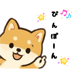 [LINEスタンプ] シバ犬デカ文字普段使える誰でもスタンプ