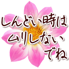 [LINEスタンプ] 大人の思いやり敬語✿優しい気づかい心配り✿
