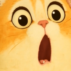 [LINEスタンプ] 猫猫の表情の拡大写真