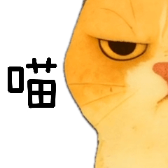 [LINEスタンプ] ニャンニャンの顔のクローズアップ