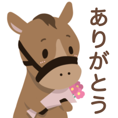 [LINEスタンプ] かわいい小馬ちゃん