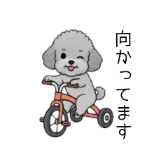 [LINEスタンプ] 敬語版♡子育て中に使いやすいトイプードル