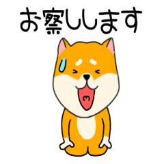 [LINEスタンプ] 【敬語】柴犬のふぅちゃん15