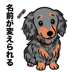 [LINEスタンプ] 名前入りダックスロングシルバーダップル②