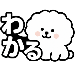 [LINEスタンプ] かわいいビションフリーゼの日常スタンプ