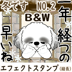 [LINEスタンプ] 背景が動くB＆Wのシーズー犬 2025 「冬」